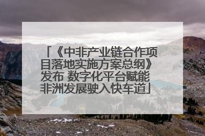 《中非产业链合作项目落地实施方案总纲》发布 数字化平台赋能非洲发展驶入快车道