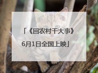 《回农村干大事》6月1日全国上映