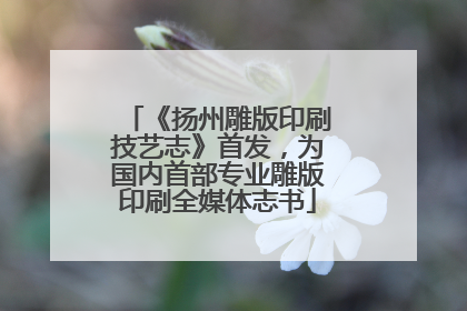 《扬州雕版印刷技艺志》首发，为国内首部专业雕版印刷全媒体志书
