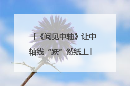 《阅见中轴》让中轴线“跃”然纸上