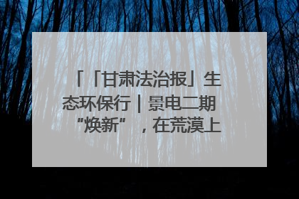 「甘肃法治报」生态环保行｜景电二期“焕新”，在荒漠上筑起一道绿色长城