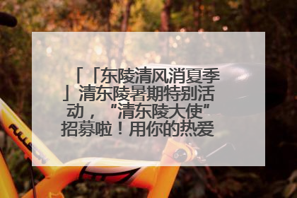 「东陵清风消夏季」清东陵暑期特别活动，“清东陵大使”招募啦！用你的热爱守护世界遗产！