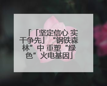 「坚定信心 实干争先」“钢铁森林”中 重塑“绿色”火电基因