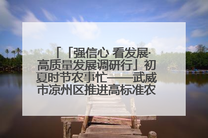 「强信心 看发展·高质量发展调研行」初夏时节农事忙——武威市凉州区推进高标准农田建设见闻