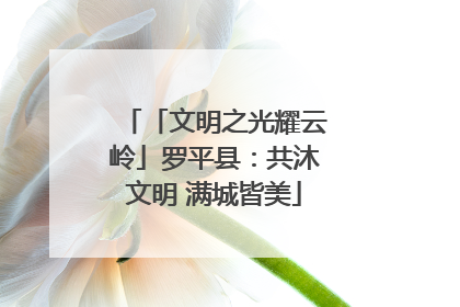 「文明之光耀云岭」罗平县：共沐文明 满城皆美