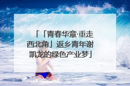 「青春华章·重走西北角」返乡青年谢凯龙的绿色产业梦