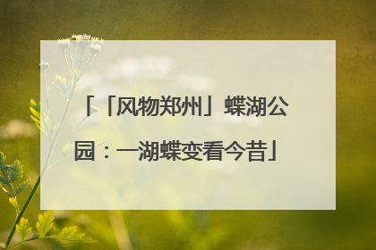 「风物郑州」蝶湖公园：一湖蝶变看今昔