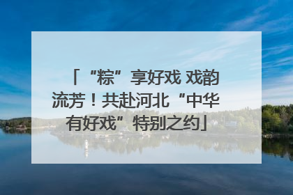 “粽”享好戏 戏韵流芳！共赴河北“中华有好戏”特别之约
