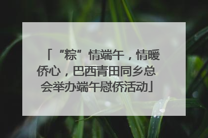 “粽”情端午，情暖侨心，巴西青田同乡总会举办端午慰侨活动