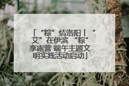 “粽”情洛阳丨“艾”在伊滨 “粽”享露营 端午主题文明实践活动启动