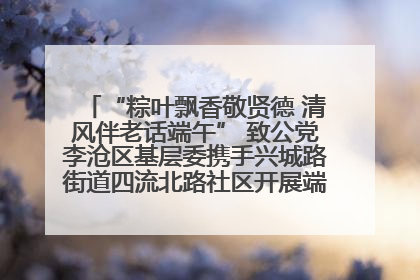 “粽叶飘香敬贤德 清风伴老话端午” 致公党李沧区基层委携手兴城路街道四流北路社区开展端午节主题活动