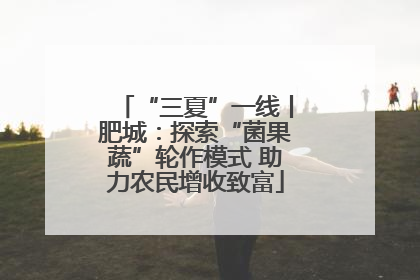 “三夏”一线丨肥城：探索“菌果蔬”轮作模式 助力农民增收致富