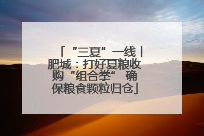 “三夏”一线丨肥城：打好夏粮收购“组合拳” 确保粮食颗粒归仓
