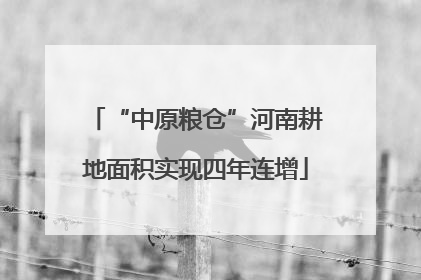 “中原粮仓”河南耕地面积实现四年连增