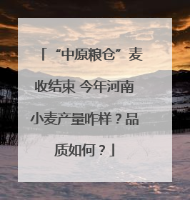 “中原粮仓”麦收结束 今年河南小麦产量咋样？品质如何？