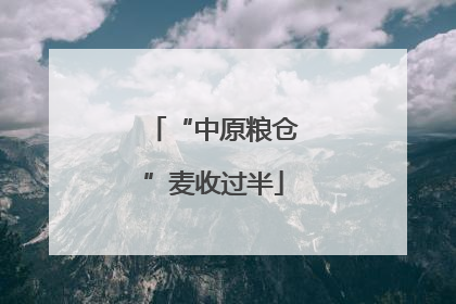 “中原粮仓”麦收过半