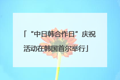 “中日韩合作日”庆祝活动在韩国首尔举行