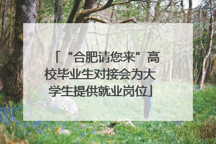 “合肥请您来”高校毕业生对接会为大学生提供就业岗位