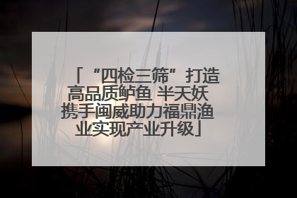 “四检三筛”打造高品质鲈鱼 半天妖携手闽威助力福鼎渔业实现产业升级