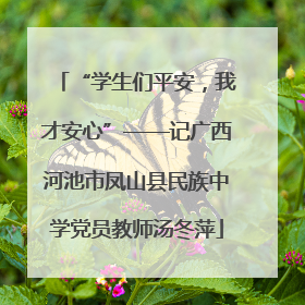 “学生们平安，我才安心”——记广西河池市凤山县民族中学党员教师汤冬萍