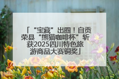 “宝藏”出圈！自贡荣县“熊猫咖啡杯”斩获2025四川特色旅游商品大赛铜奖