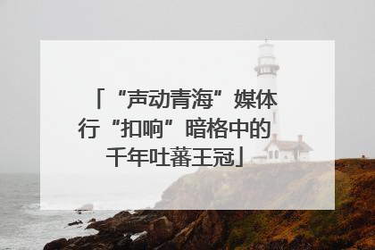 “声动青海”媒体行“扣响”暗格中的千年吐蕃王冠
