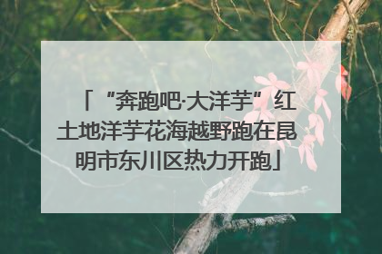 “奔跑吧·大洋芋”红土地洋芋花海越野跑在昆明市东川区热力开跑