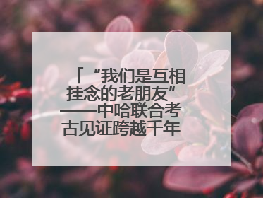 “我们是互相挂念的老朋友”——中哈联合考古见证跨越千年的文明交响