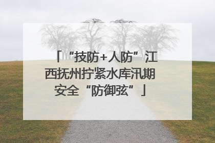 “技防+人防”江西抚州拧紧水库汛期安全“防御弦”