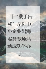“携手行动”岳阳中小企业出海服务专项活动成功举办