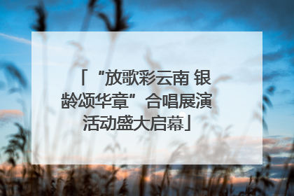 “放歌彩云南 银龄颂华章”合唱展演活动盛大启幕
