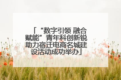 “数字引领 融合赋能”青年科创新锐助力宿迁电商名城建设活动成功举办