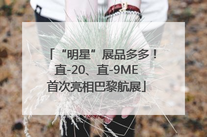 “明星”展品多多！直-20、直-9ME首次亮相巴黎航展