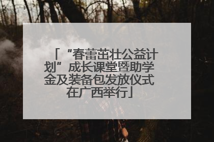 “春蕾茁壮公益计划”成长课堂暨助学金及装备包发放仪式在广西举行