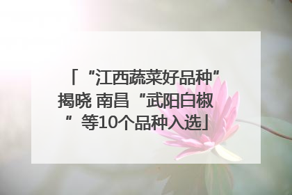 “江西蔬菜好品种”揭晓 南昌“武阳白椒”等10个品种入选