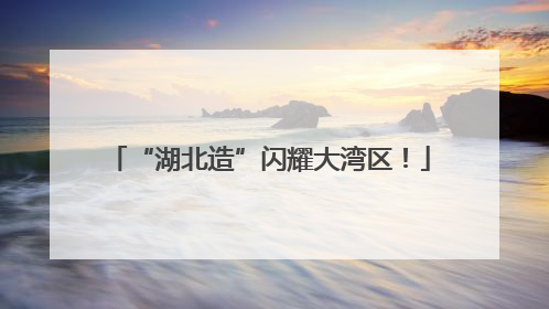 “湖北造”闪耀大湾区！