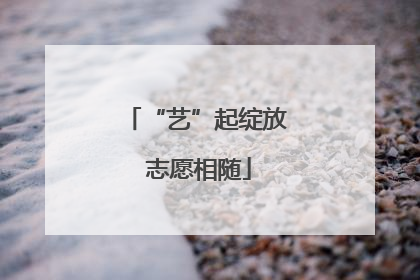 “艺”起绽放 志愿相随
