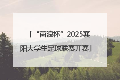 “茵浪杯”2025襄阳大学生足球联赛开赛