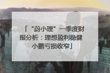 “蔚小理”一季度财报分析：理想盈利稳健 小鹏亏损收窄