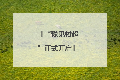 “豫见村超”正式开启
