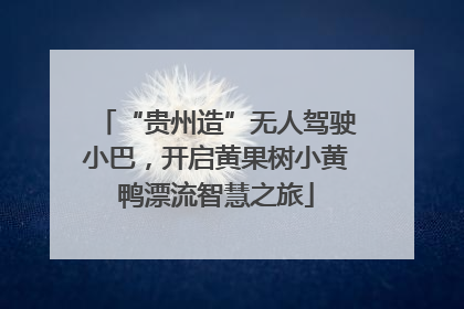 “贵州造”无人驾驶小巴，开启黄果树小黄鸭漂流智慧之旅
