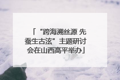 “跨海溯丝源 先蚕生古泫”主题研讨会在山西高平举办