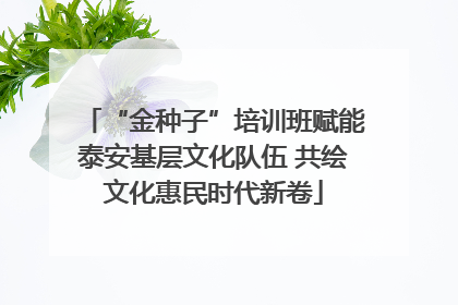 “金种子”培训班赋能泰安基层文化队伍 共绘文化惠民时代新卷