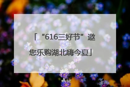 “616三好节”邀您乐购湖北嗨今夏