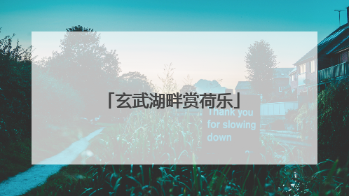 玄武湖畔赏荷乐