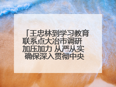 王忠林到学习教育联系点大冶市调研 加压加力 从严从实 确保深入贯彻中央八项规定精神学习教育取得实效