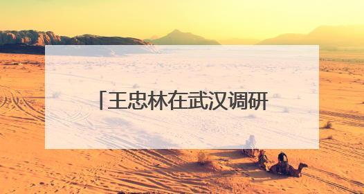 王忠林在武汉调研商业航天产业发展时强调 做大做强武汉国家航天产业基地 打造具有全国影响力的“中国星谷”