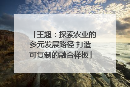 王超：探索农业的多元发展路径 打造可复制的融合样板