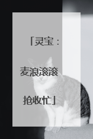 灵宝：麦浪滚滚抢收忙