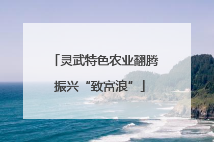 灵武特色农业翻腾振兴“致富浪”